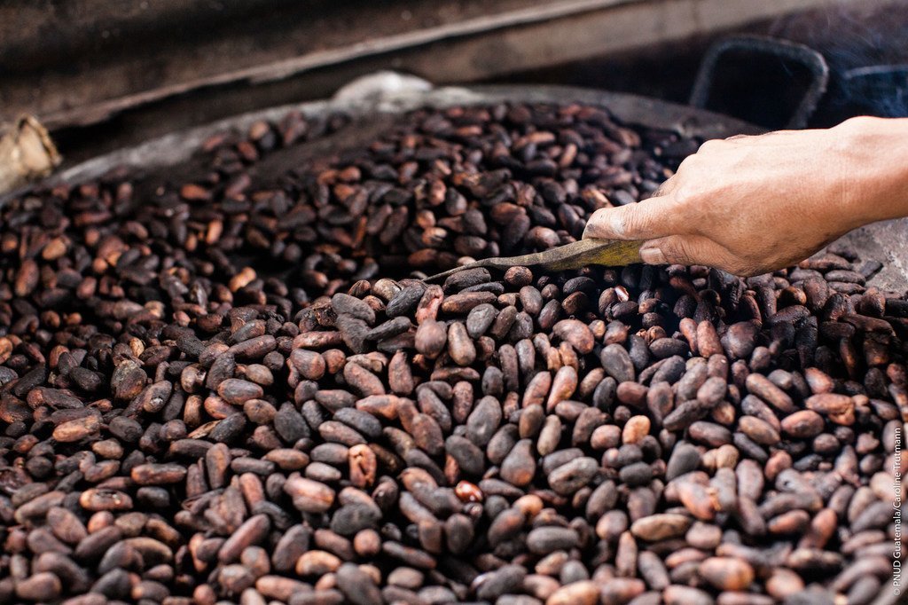 Commodity Finance
